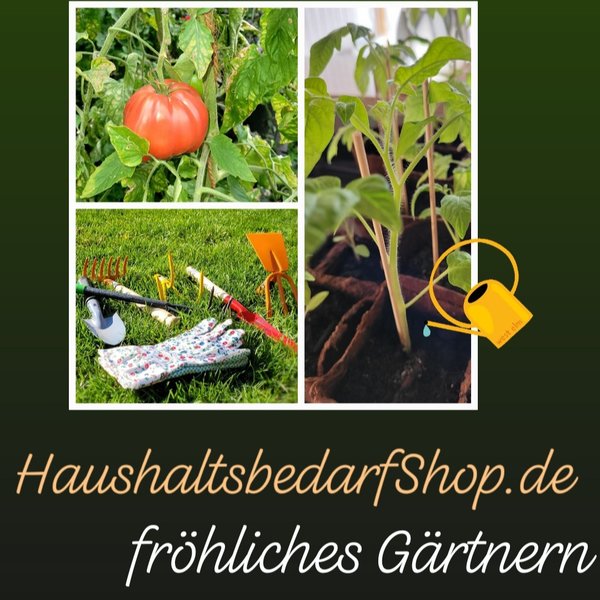 Gartengeräte liegen auf Wiese Schaufel, Gartenhandschuhe, Unkrautstecher, Harke, Rechen. Tomatenpflanze mit Gießkanne, Tomatenpflanze mit riesiger roter Tomate