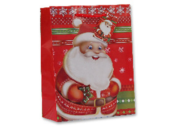 Geschenktüte Weihnachten 18x23cm Medium Santa Geschenktasche